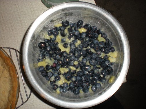 Blueberry Pineapple Piña Colada Pie Pie